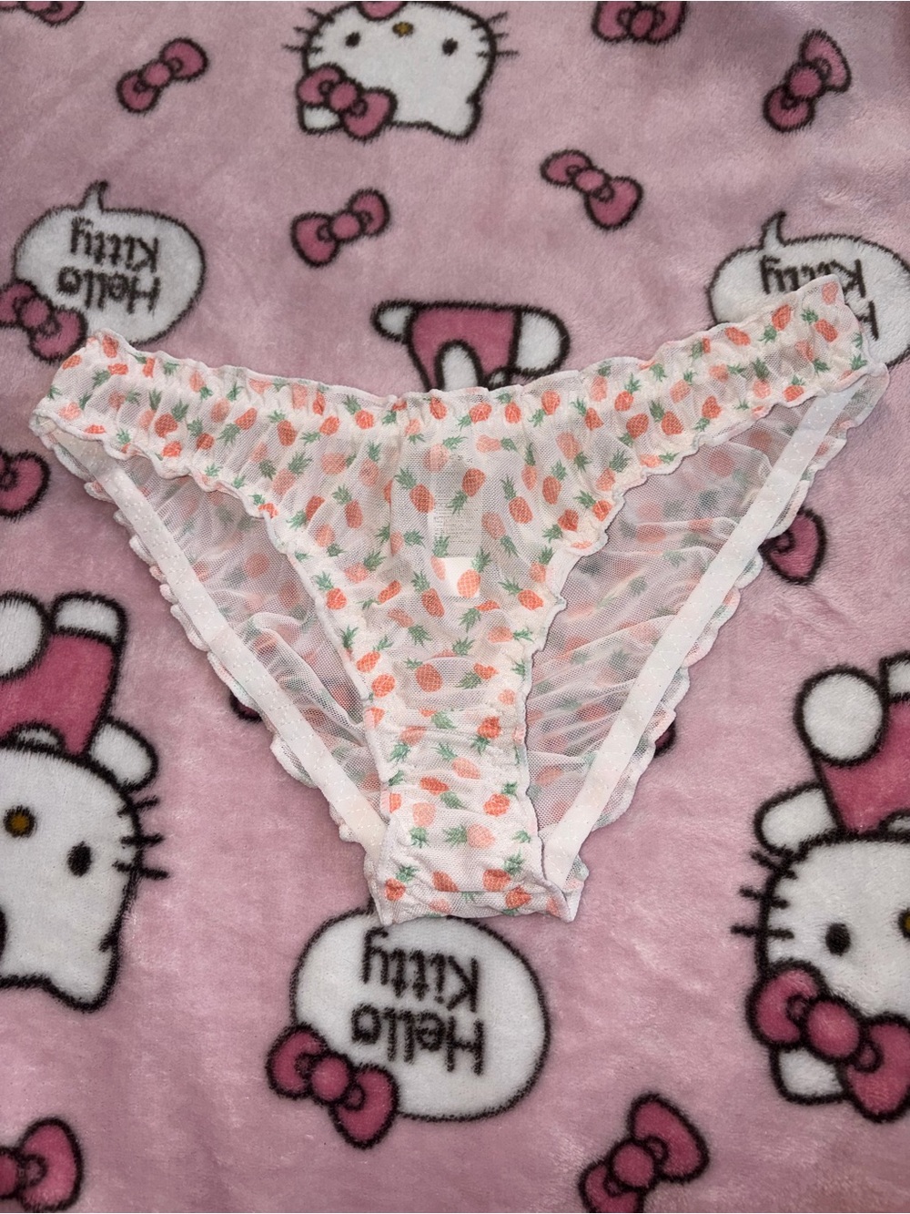 Sheer Bikini Cut Panties